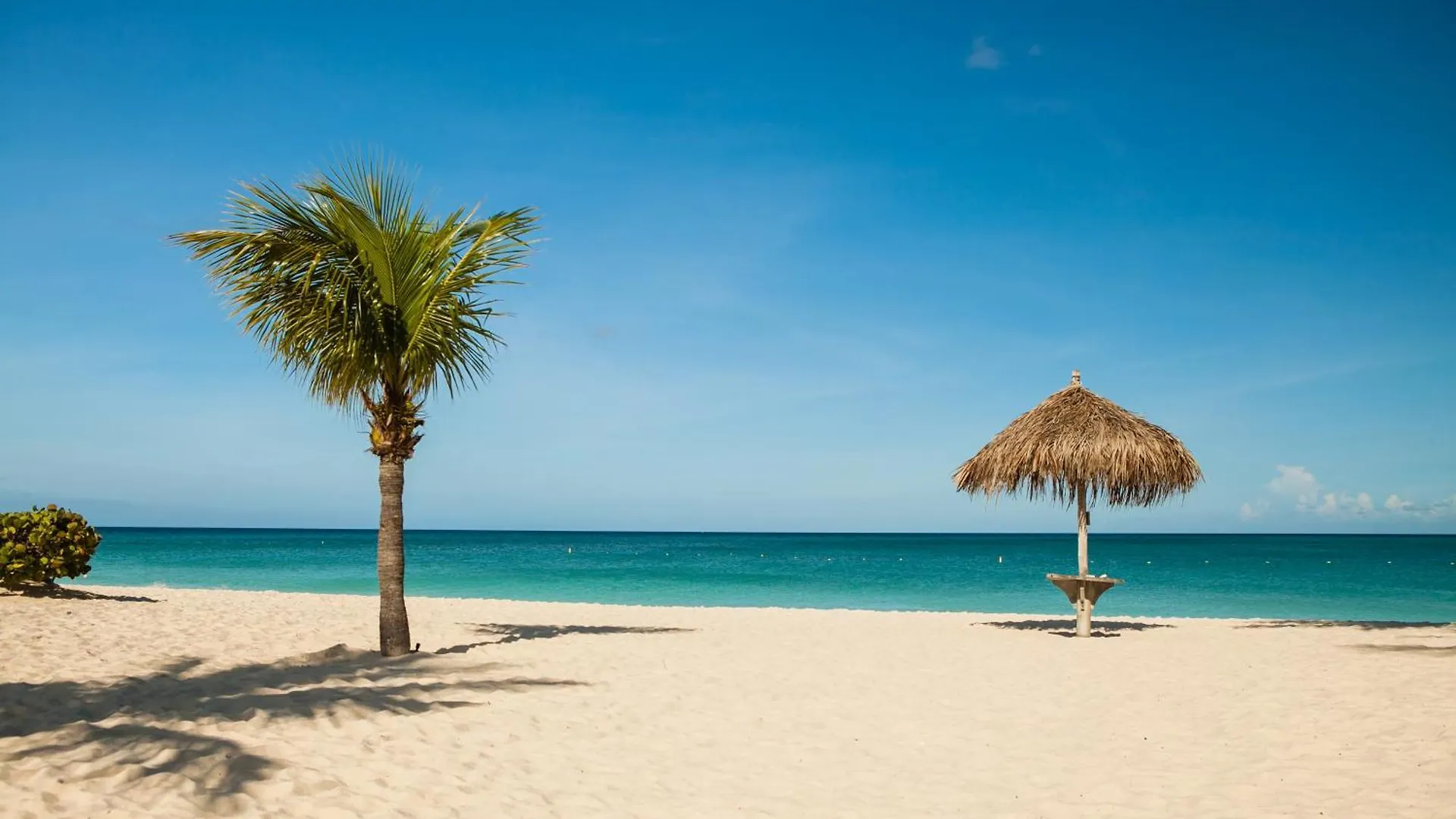 1Bs-Blue325 - Leave All Your Worries Aside At This Happy Condo Palm Beach Aruba
