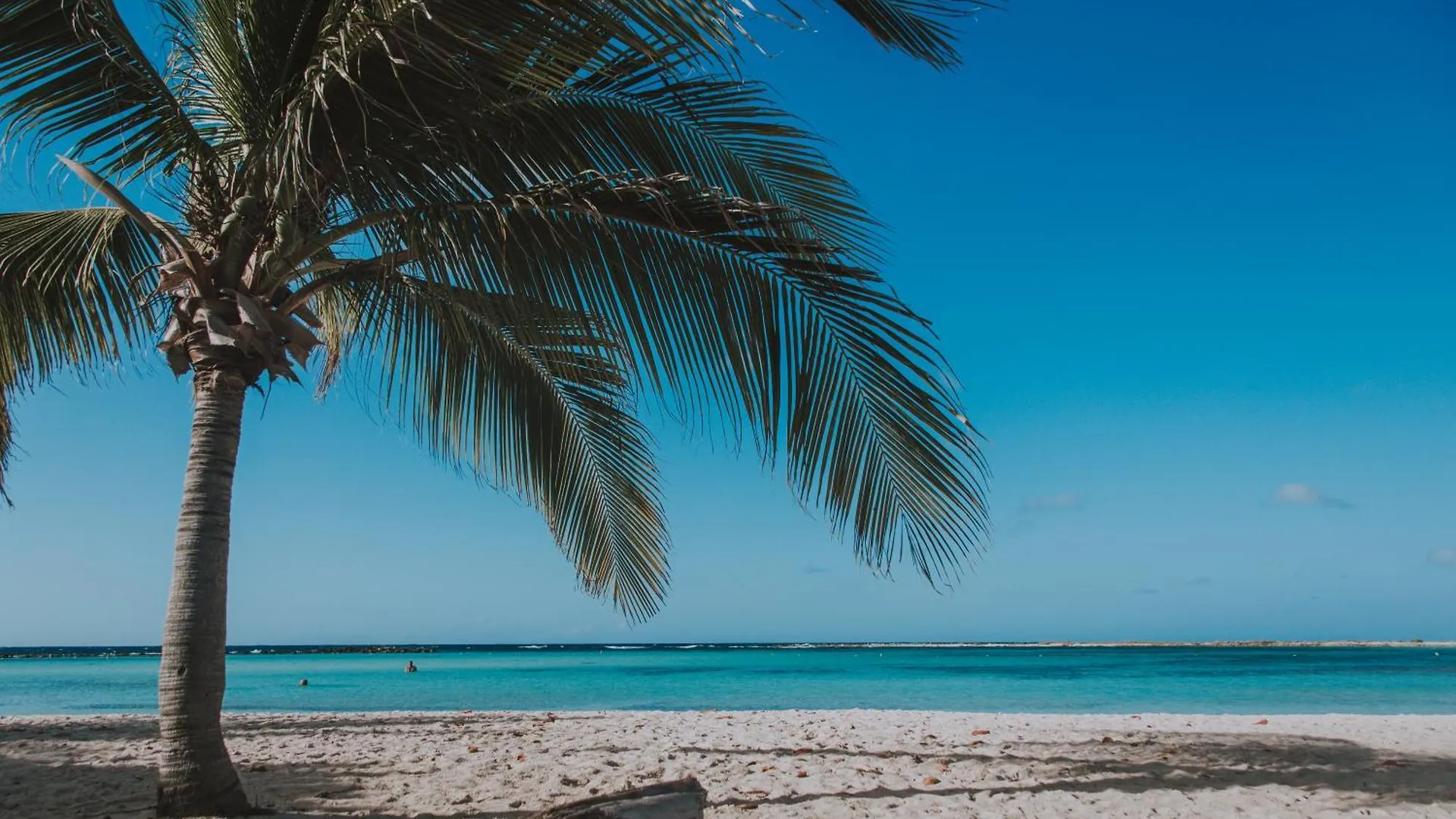1Bs-Blue325 - Leave All Your Worries Aside At This Happy Condo Palm Beach 0*,  Aruba
